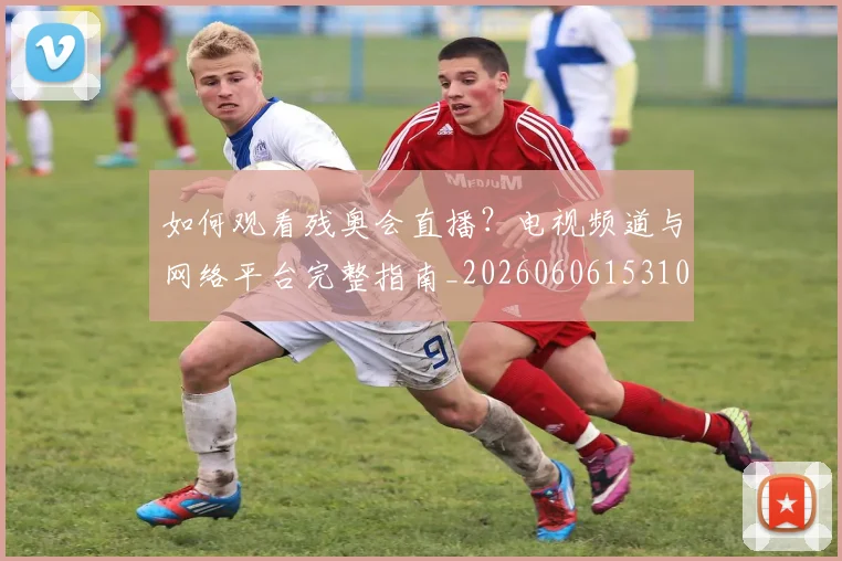 如何观看残奥会直播?电视频道与网络平台完整指南_20260606153100