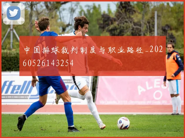 中国排球裁判制度与职业路径_20260526143254